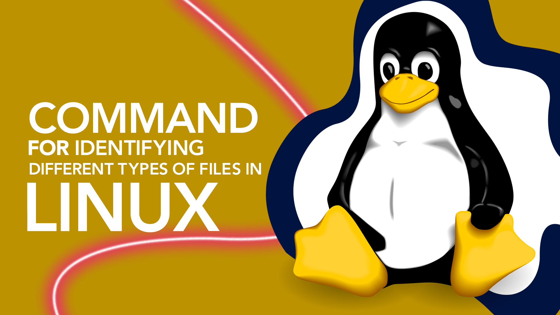 What command is most effective at identifying different types of files in Linux