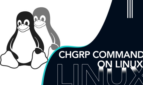 chgrp command on Linux