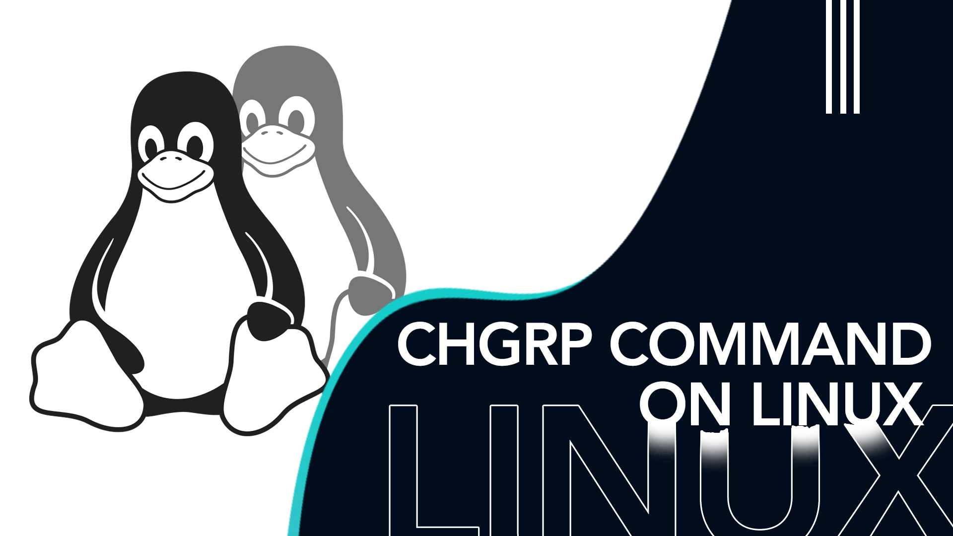 chgrp command on Linux