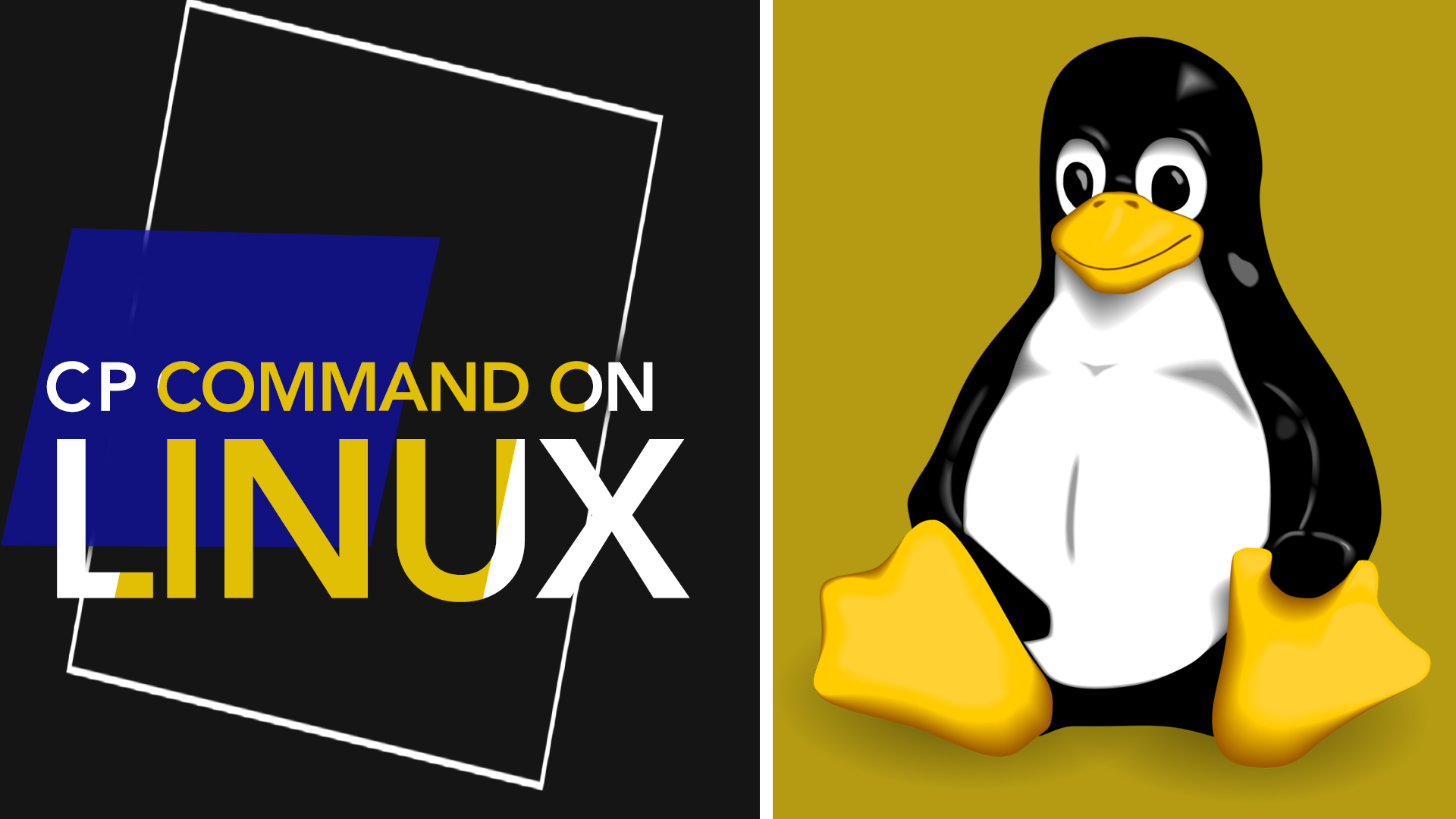 cp command on Linux