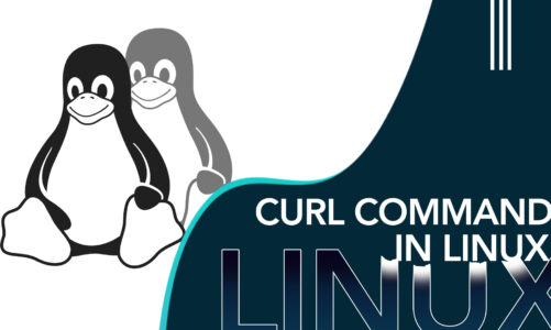 curl command on linux for beginners