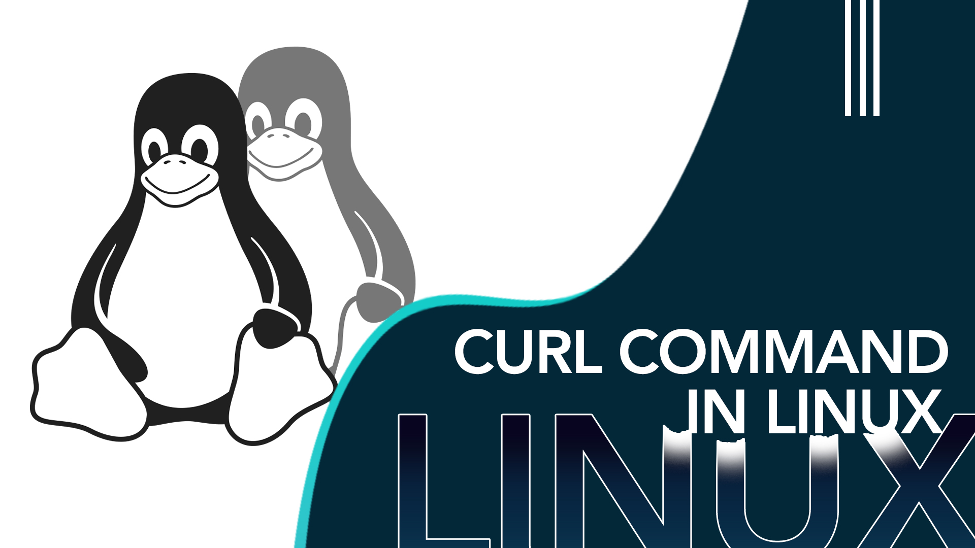 curl command on linux for beginners