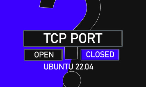How do I know if a TCP port is open or closed on Ubuntu 22.04