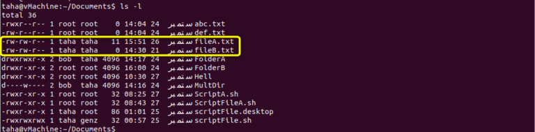 Understanding Chmod +X – Making Files Executable – LinuxWays