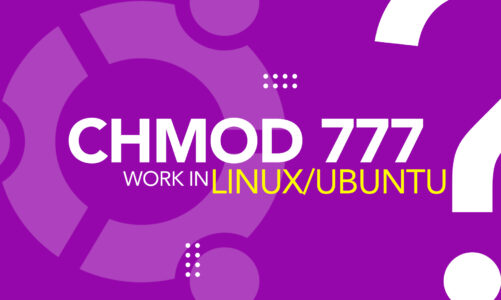How does Chmod 777 Work in Linux Ubuntu