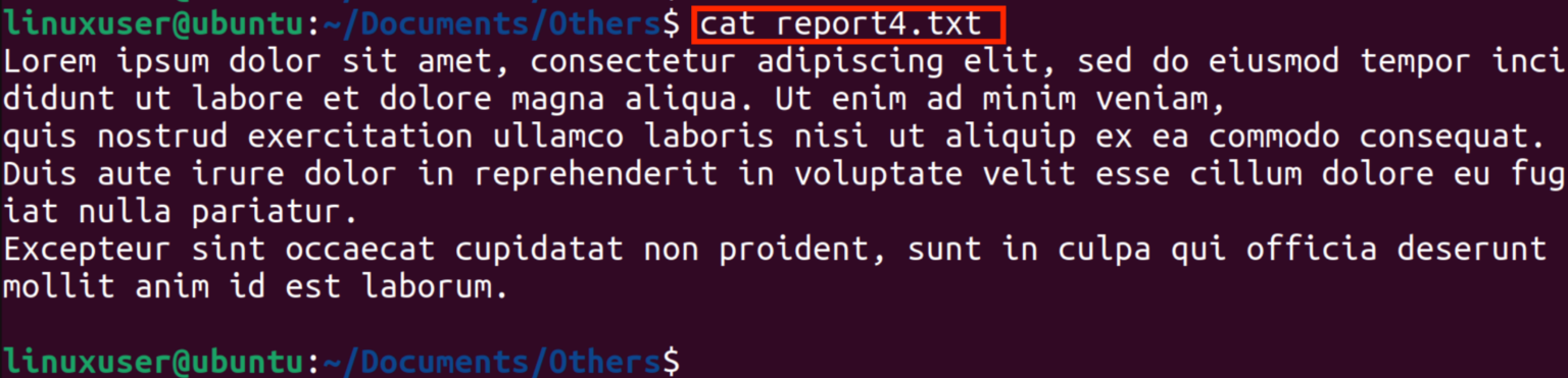 open text file ubuntu terminal