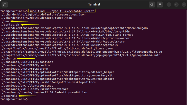 How to Check Executable File in Linux/Ubuntu? – LinuxWays