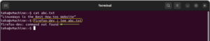 How to Save Terminal Output to a File in Ubuntu? – LinuxWays