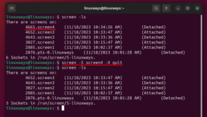 How to Kill a Screen Session in Linux? – LinuxWays
