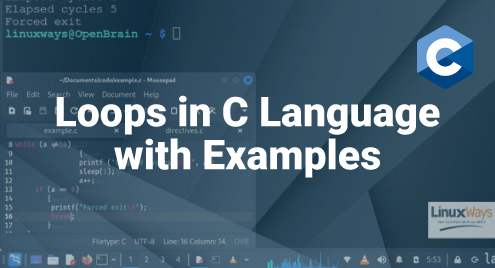 Loops in C Language with Examples