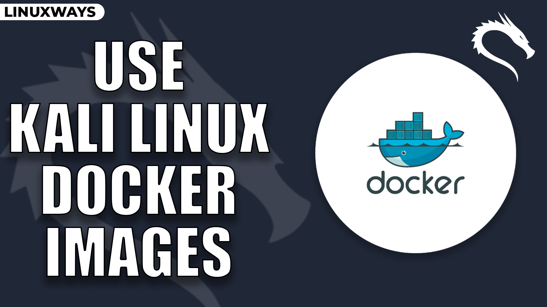 How to Use Kali Linux Docker Images