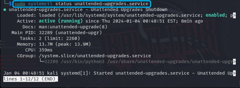 How to Update Kali Linux – LinuxWays