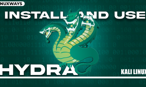 How to Install and Use Hydra on Kali Linux