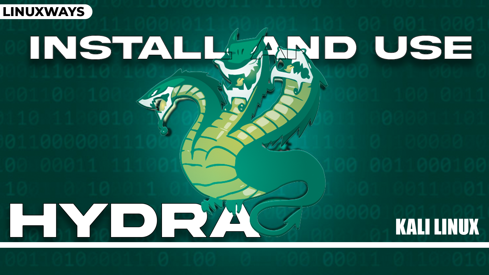 How to Install and Use Hydra on Kali Linux