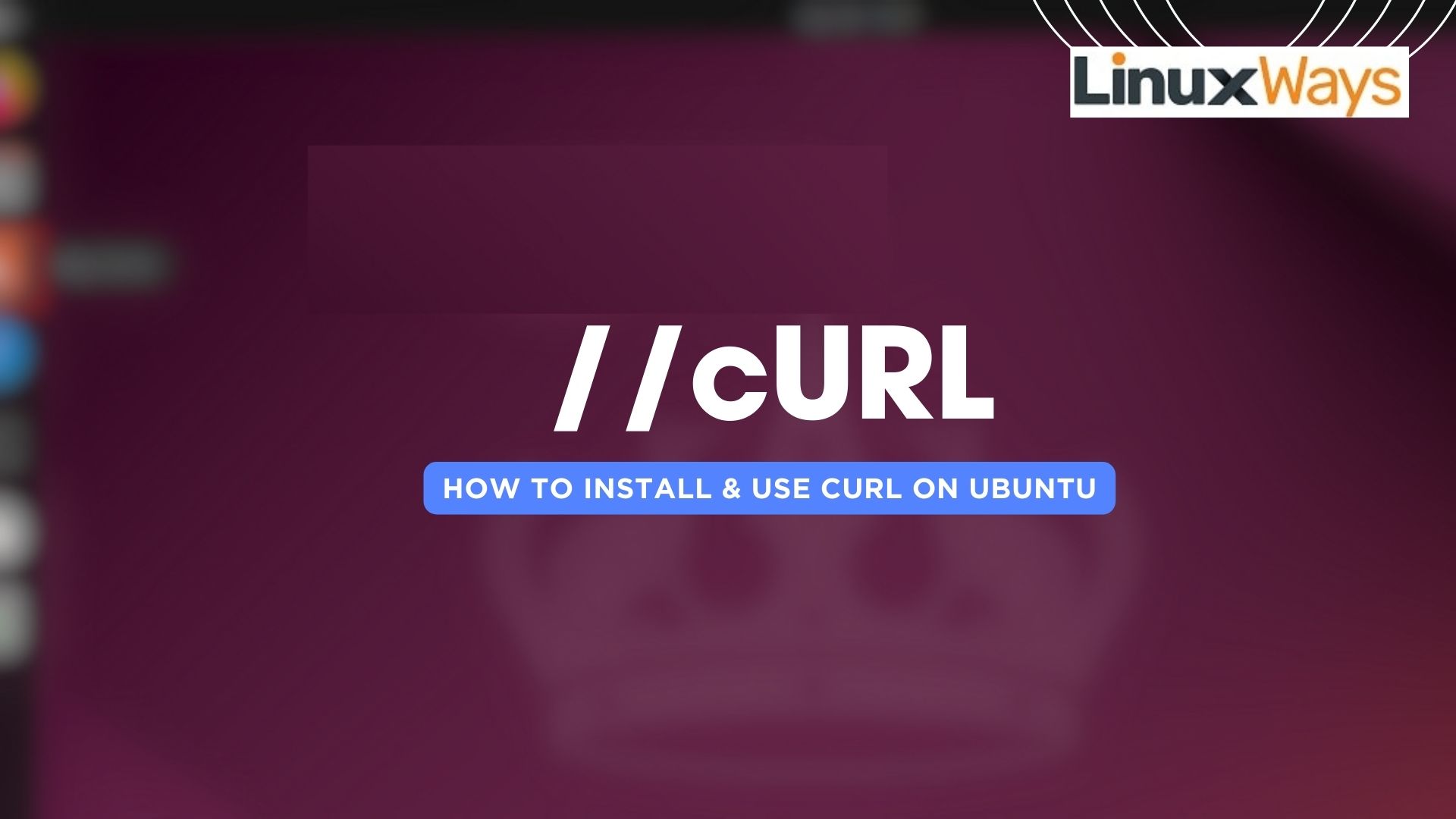 curl in ubuntu 24.04
