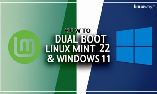 Dual Boot Linux Mint 22 and Windows 11